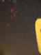 IMG_5240.v0_t.gif