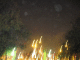 IMG_5243_t.gif