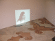 IMG_5275_t.gif