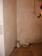 IMG_5287.v0_t.gif