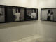 IMG_5290_t.gif