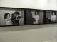 IMG_5291_t.gif