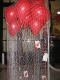 IMG_5150.v0_t.gif