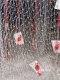 IMG_5151.v0_t.gif