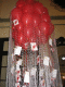 IMG_5152.v0_t.gif
