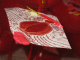 IMG_5157_t.gif