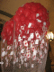 IMG_5170.v0_t.gif