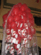 IMG_5171.v0_t.gif