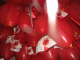 IMG_5172_t.gif