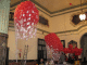 IMG_5177_t.gif