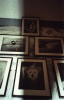 SCFound_05_t.gif