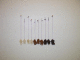 DSCN0007_t.gif