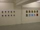 DSCN0019_t.gif