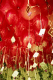 22250002.v0_t.gif