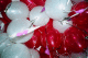 22250003_t.gif