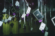 22250004_t.gif