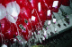 22250007_t.gif
