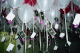 22250008_t.gif