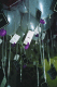 22250011.v0_t.gif