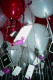22250012.v0_t.gif