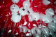 22250013_t.gif