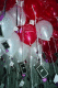 22250014.v0_t.gif