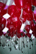 22250015.v0_t.gif