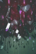 22250016.v0_t.gif