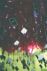 22250017.v0_t.gif