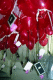 22250018.v0_t.gif