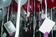 22250020_t.gif