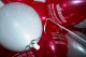 22250021_t.gif