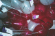 22250024_t.gif