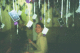 22250028_t.gif