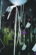 22250031.v0_t.gif