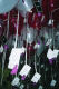 22250032.v0_t.gif