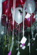 22250033.v0_t.gif