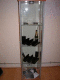 DSCN0011.v0_t.gif
