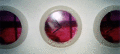 TimeBomb1_t.gif