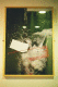 15430013.v0_t.gif