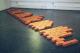 15430030_t.gif