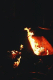 07970007.v0_t.gif