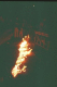 07980012.v0_t.gif