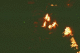 07980013_t.gif