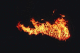 07990036_t.gif