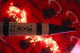 08010004_t.gif
