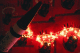 08010009_t.gif