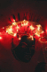 08010010.v0_t.gif