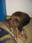 A.IMG_8767.v0_t.gif