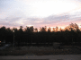A.IMG_8774_t.gif